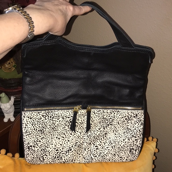 FOSSIL - Picture 2 of 7